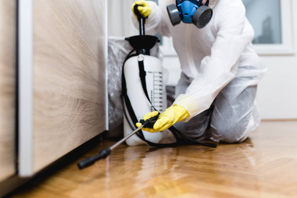 Best Exterminator Services  in Southside Place, TX