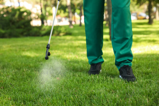 Best Commercial Pest Control Services  in Southside Place, TX