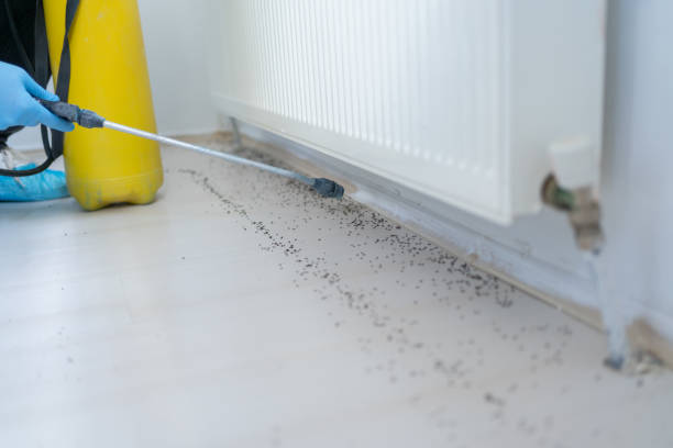 Best Residential Pest Control  in Southside Place, TX